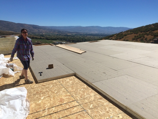 L helping to install Polyiso foam atop the roof